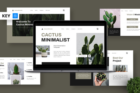 Cactus Minimalist - Plant Keynote preview 5