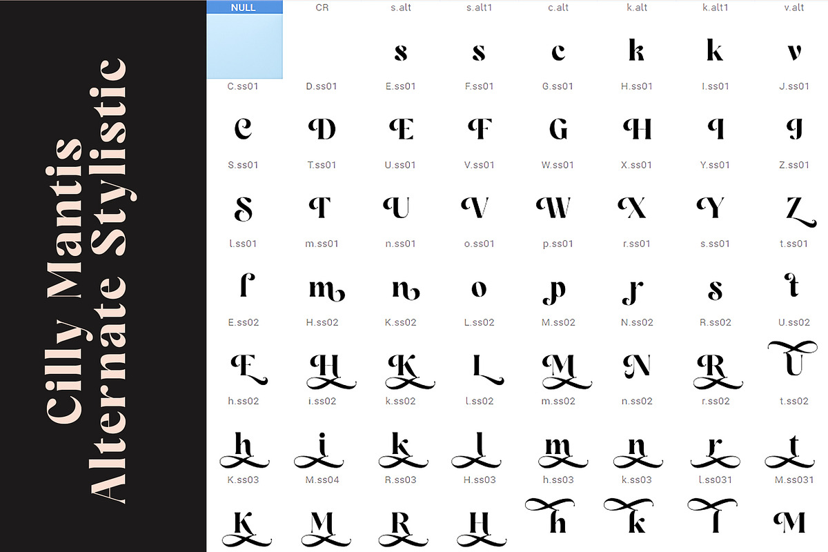 Cilly Mantis, a Serif Font by INKSUN™ (Photo 7 of 8)