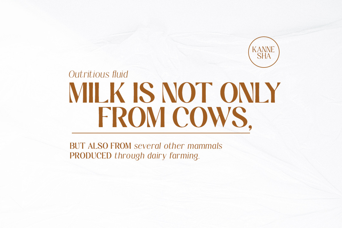 Kannesha Sans Serif (18 fonts), a Sans Serif Font by Areatype (Photo 6 of 13)
