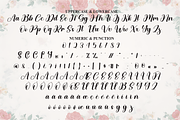 Kayla | Script Font, a Handwritten Font by Scratchones (Thumbnail 7 of 9)
