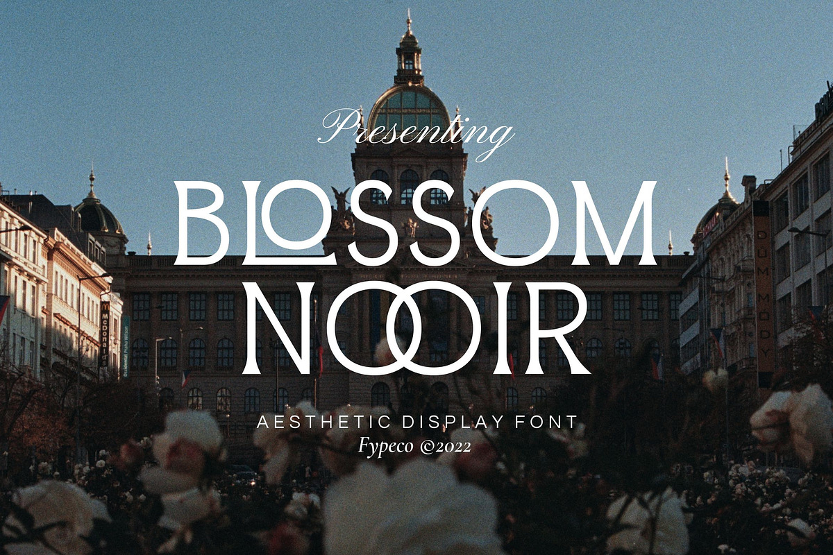 Blossom Noir -Aesthetic Display Font, a Serif Font by Fype Co. (Photo 1 of 5)