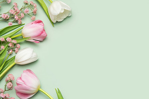 Pink and white tulips and small pink flowers creating a border o, a Holiday Photo by Olena Rudo