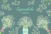 Watercolor Gypsophila Baby's Breath, an Illustration by Corner Croft (Thumbnail 1 of 7)