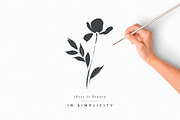Ink botanicals, logos & patterns, a Texture Illustration by Lisa Glanz (Thumbnail 3 of 32)