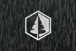 Pine Tree Logo