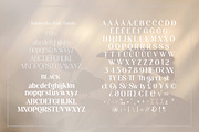 Kannesha Sans Serif (18 fonts), a Sans Serif Font by Areatype (Thumbnail 8 of 13)