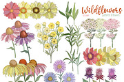 Wildflowers Clipart Flower Graphics, a Decorative Illustration by SLS Lines (Thumbnail 4 of 6)