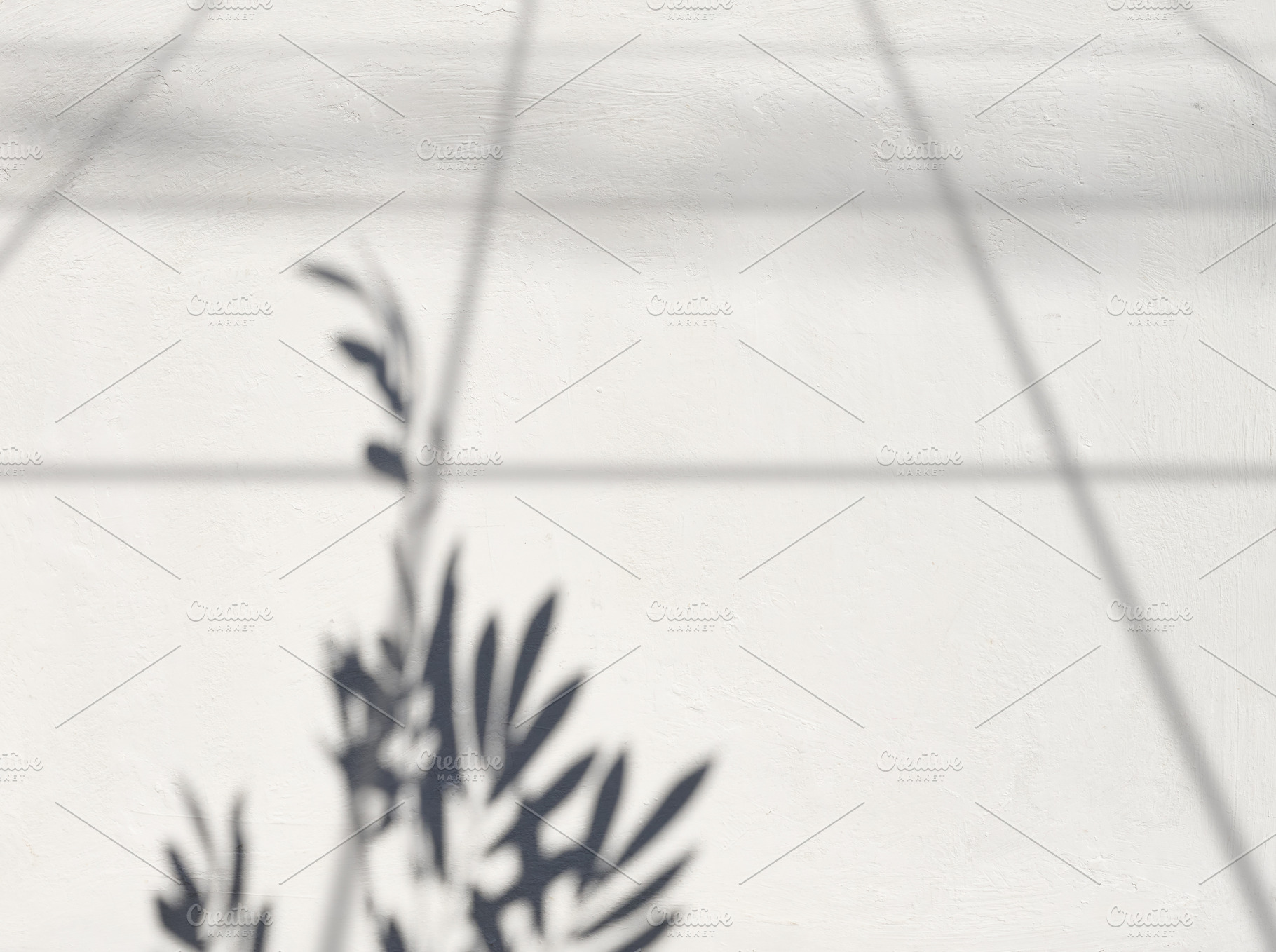 Abstract shadow of a plant branch and geometric lines on a white, an Abstract Photo by ndanko