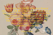 AMORIA Font Display Sans Serif, a Sans Serif Font by Guna Studio (Thumbnail 9 of 12)
