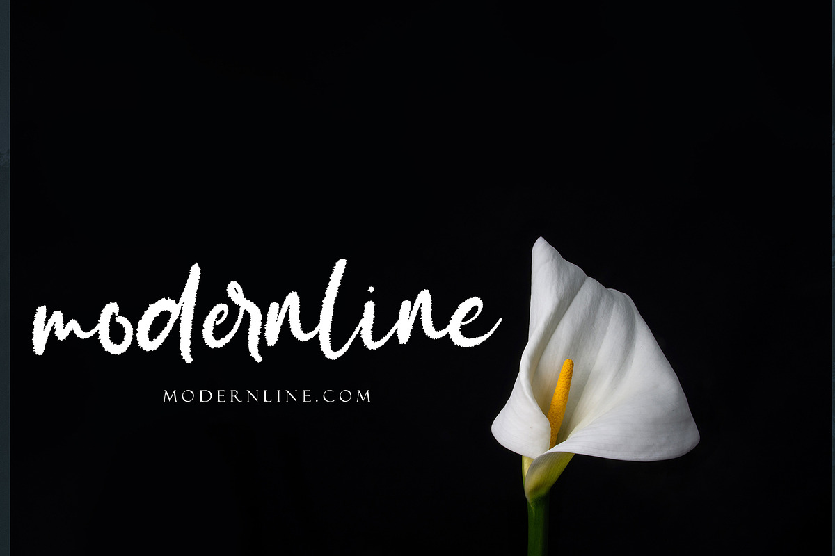 Seritton, a Script Font by pineungtype (Photo 9 of 10)