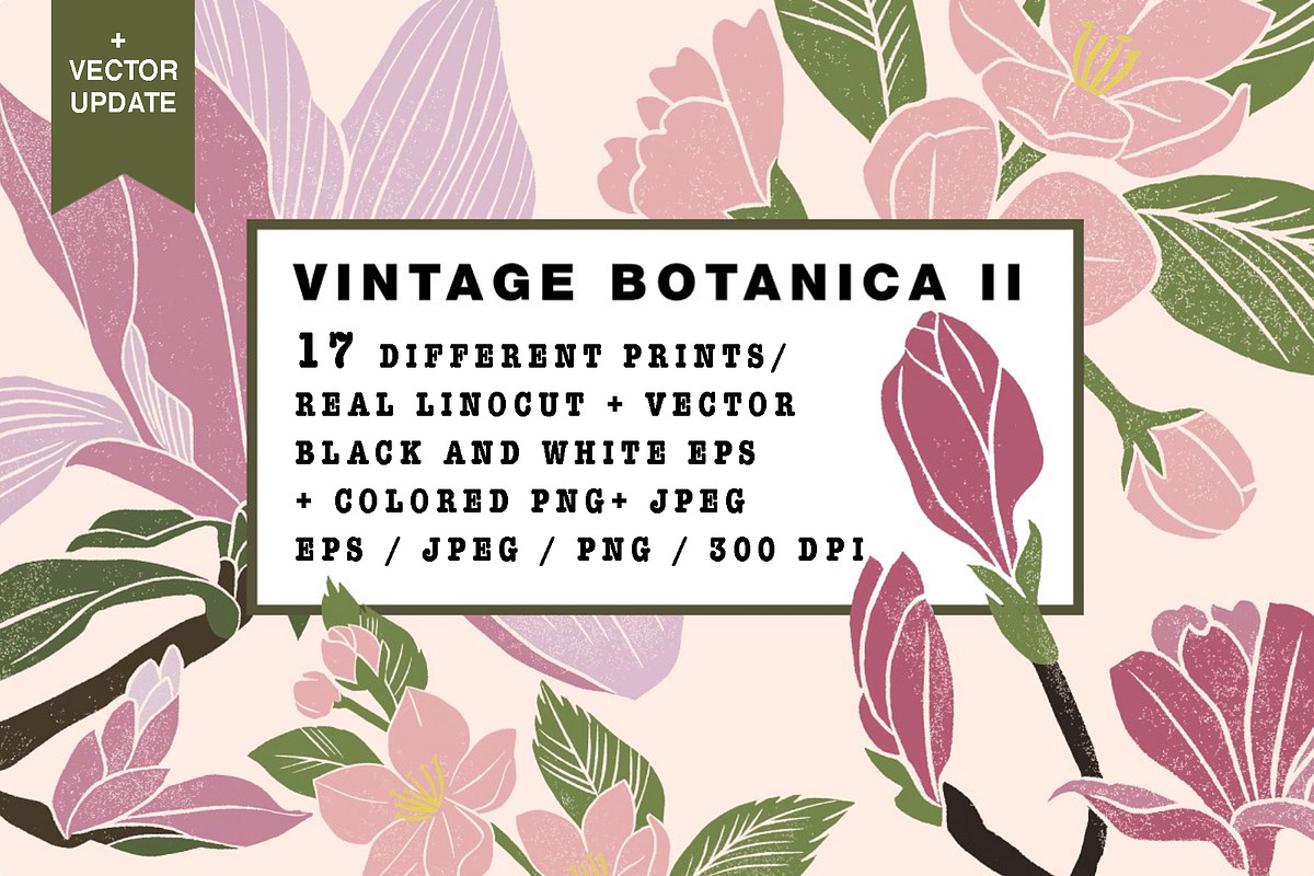 Vintage Botanica II, an Object Graphic by Mii Lab (Photo 1 of 21)