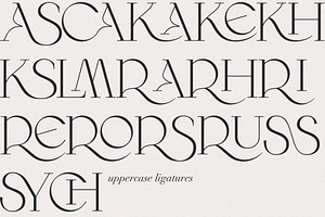 Wilde Rosa//Contemporary & Chic Font