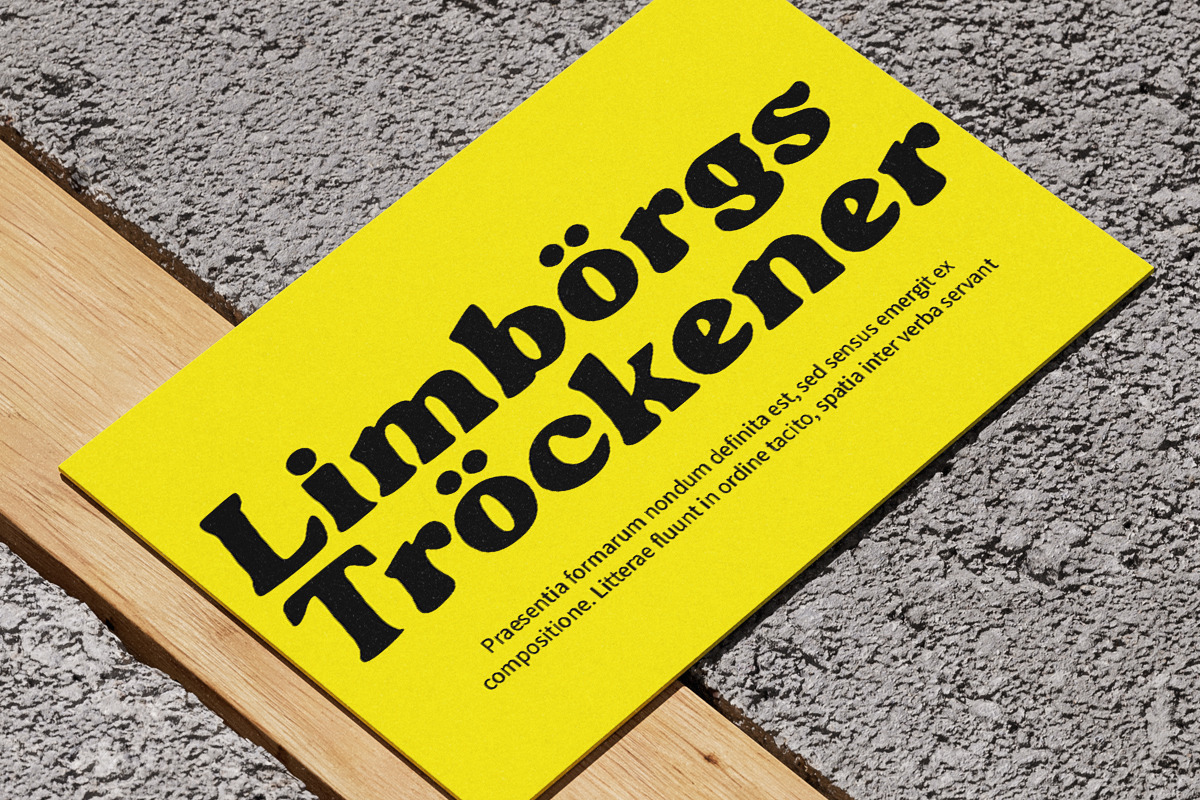 Blogeris Display, a Handwritten Font by Youngtype.Std (Photo 6 of 10)