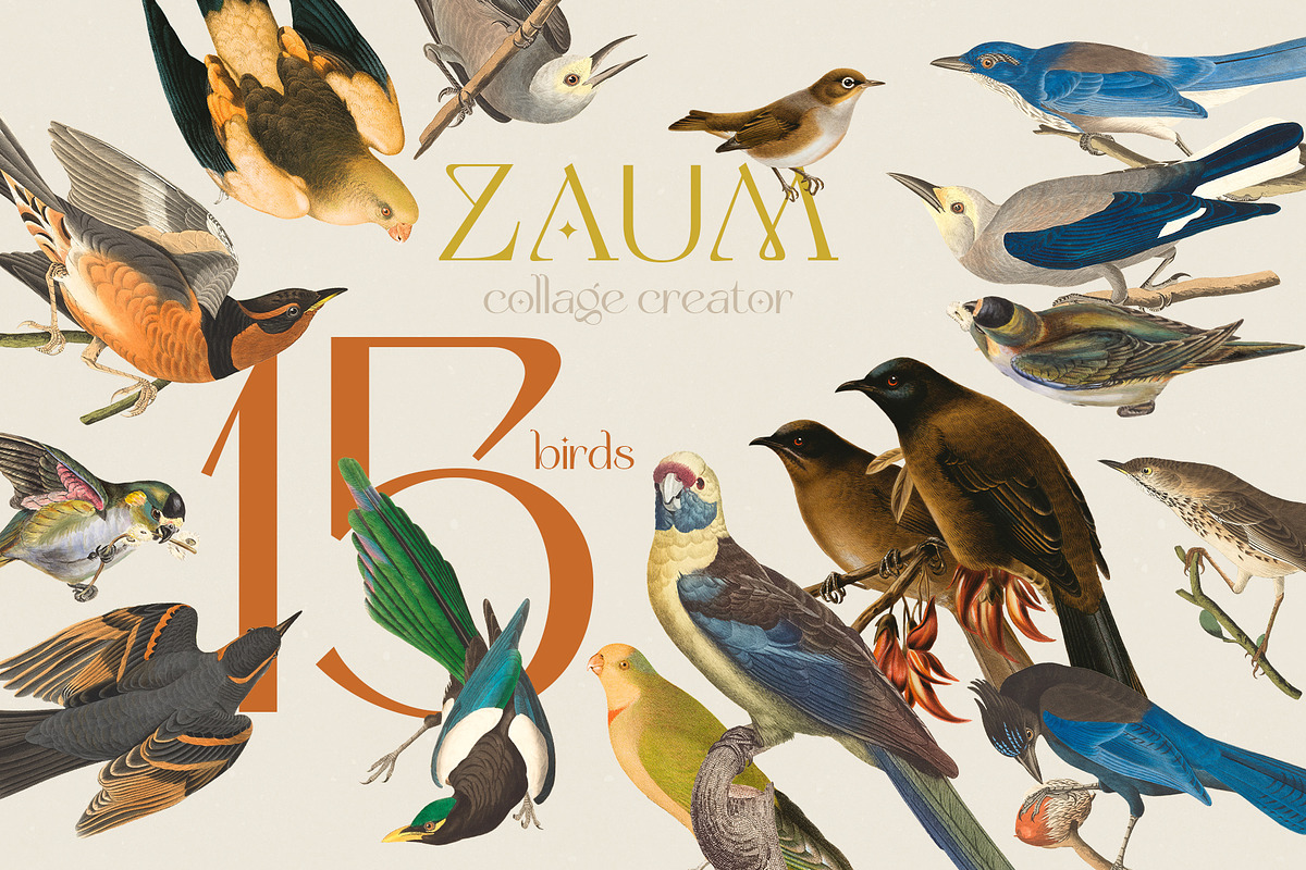 ZAUM. Collage Creator, an Object Graphic by Colden Blue (Photo 6 of 14)