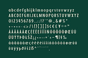 LEWISTON: A Serif Typeface, a Serif Font by Liszar Inzani (Thumbnail 5 of 13)