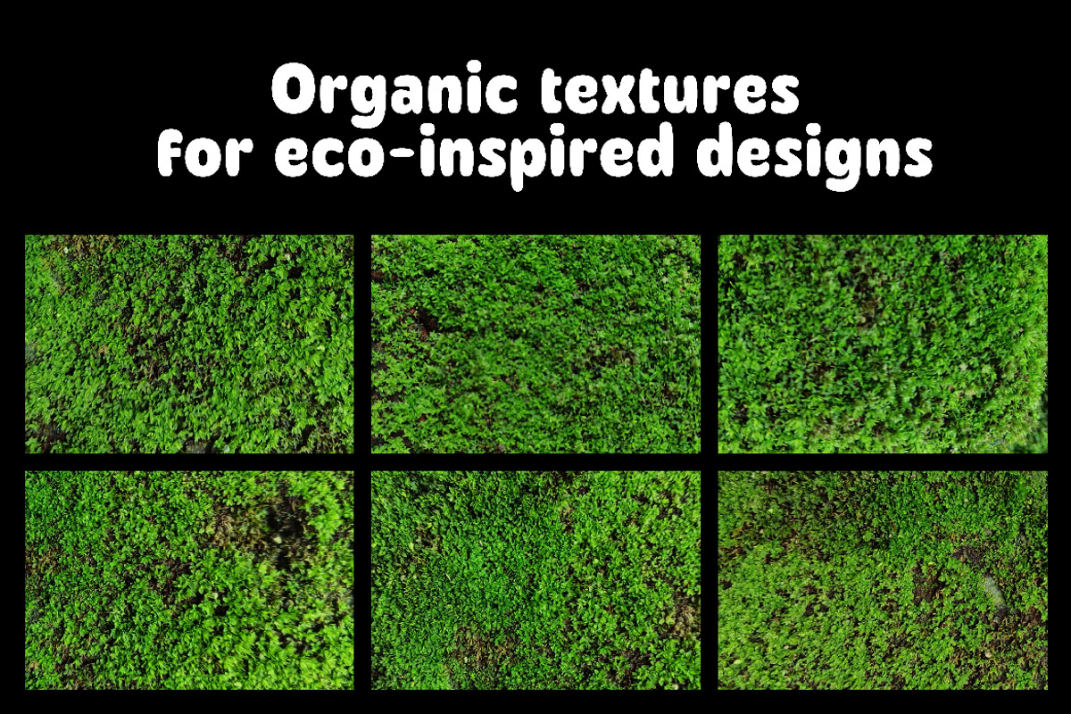 Natural Green Moss Texture Backgroun, a Background Graphic by Pitchlook.Studio (Photo 3 of 3)