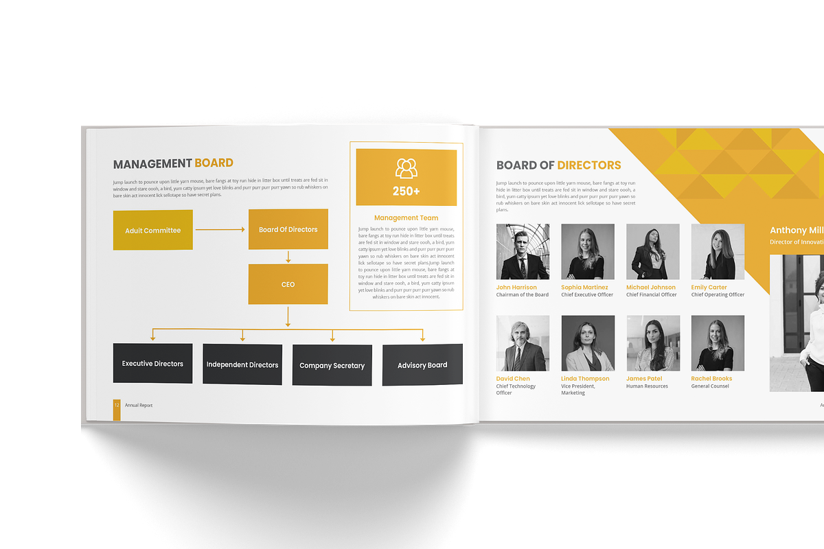 Horizontal Annual Report Brochure, a Brochure Template by TheBrightGrap (Photo 8 of 19)