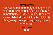 Free Spirited, a Serif Font by Horlleys (Thumbnail 18 of 20)