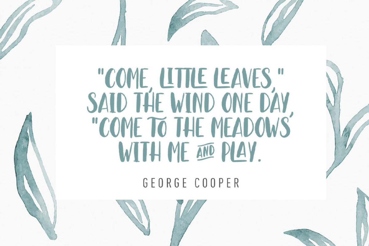 Leaves and Ground - SALE - 60% OFF, a Script Font by StereoType (Photo 8 of 10)