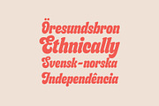 Budge, a Sans Serif Font by Flavortype (Thumbnail 4 of 20)