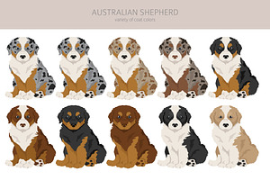 Australian Shepherd Dog Clipart