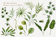 Houseplants Watercolor Collection, a Decorative Illustration by Aurella Art (Thumbnail 3 of 15)
