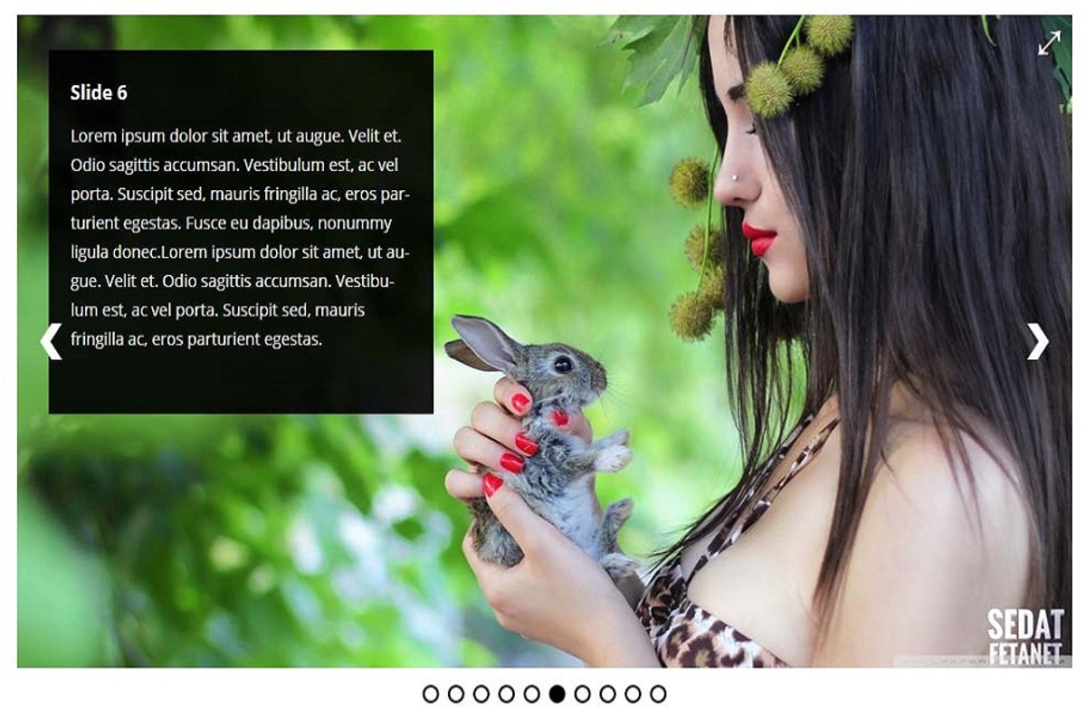 Ultimate Responsive Image Slider Pro preview 4