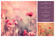 Summer Collection - PS Bundle, an Action Add-On by LovePhotoMoment (Thumbnail 9 of 23)