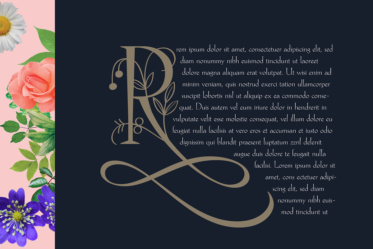 Hellen - Serif Font, a Serif Font by Genilson Santos (Photo 19 of 21)