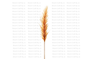 Dried Pampas Grass, a Decorative Illustration by Bloom Craft Creations (Thumbnail 1 of 10)