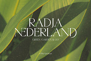 Andreas, a Serif Font by Gatype (Thumbnail 7 of 10)