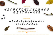 Decalled - Stylistic Fonts, a Script Font by SemutHitam Creative (Thumbnail 6 of 7)