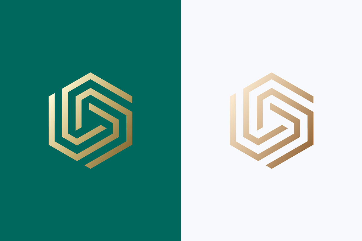 Hexagonal Geometric Linear Logo, a Branding & Logo Template by Signatoro (Photo 1 of 3)