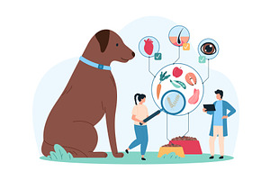 Healthy dry food dog, a Person Illustration by Flashvector