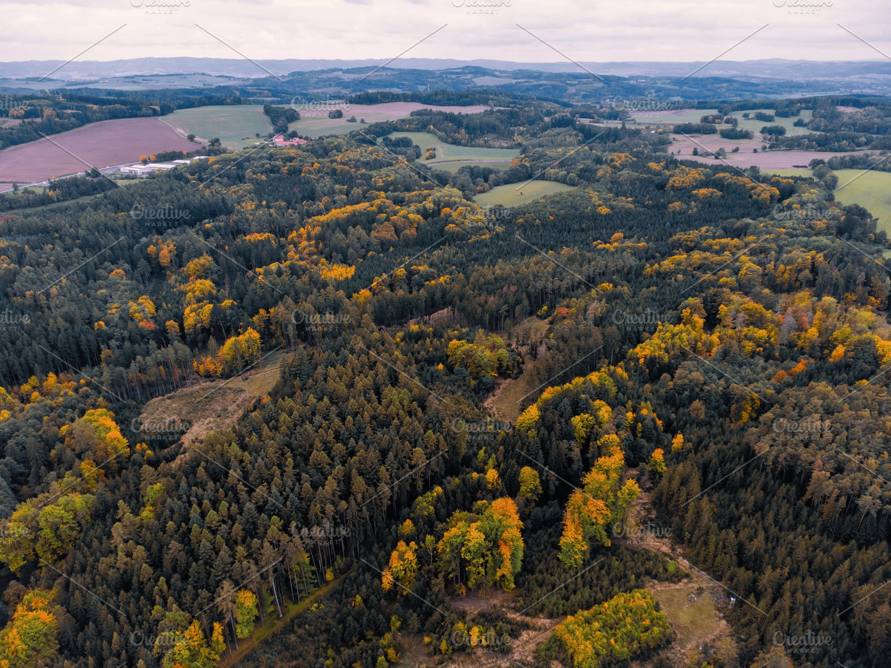 Autumn #3, a Nature Photo by jakub_kopecky