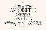 NOIR et BLANC Stylish Serif, a Serif Font by Nicky Laatz (Thumbnail 5 of 41)