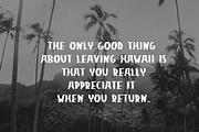 Hello Hawaii - Modern Font, a Sans Serif Font by Spark Studio Brushes (Thumbnail 4 of 7)