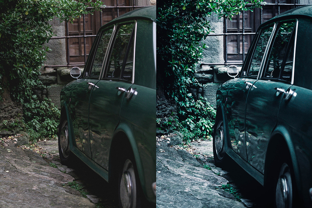 Carnation Adobe Lightroom Preset, a Preset Add-On by Voleshads (Photo 4 of 8)