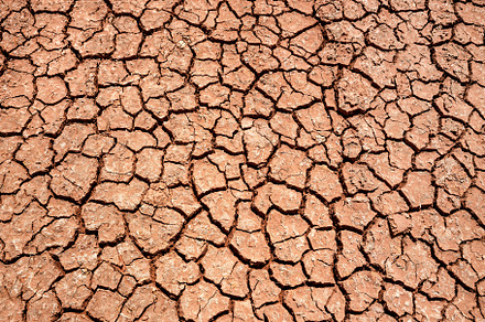 dry and cracked earth background, id, an Abstract Photo by Perpis