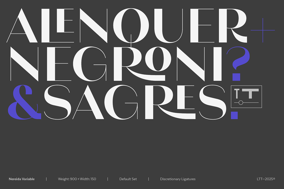 Nereida Variable, a Sans Serif Font by Latinotype (Photo 7 of 10)