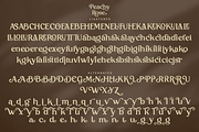 Peachy Rose - Bold Vintage Serif, a Serif Font by Pixesia Studio (Thumbnail 11 of 11)