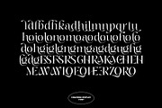 Chaviera, a Serif Font by INKSUN™ (Thumbnail 13 of 13)