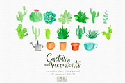 watercolor  CXactus and succulents, a Decorative Illustration by Autumn Breeze (Thumbnail 2 of 3)