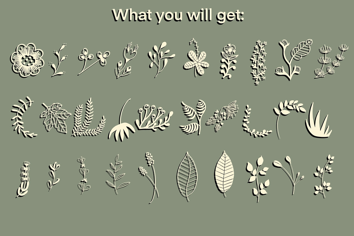 100 Floral Stamp brushes, an Illustration by Olga Brinza (Photo 9 of 11)