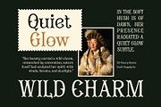 CS Visery Drawn, a Serif Font by Craft Supply Co. (Thumbnail 4 of 8)