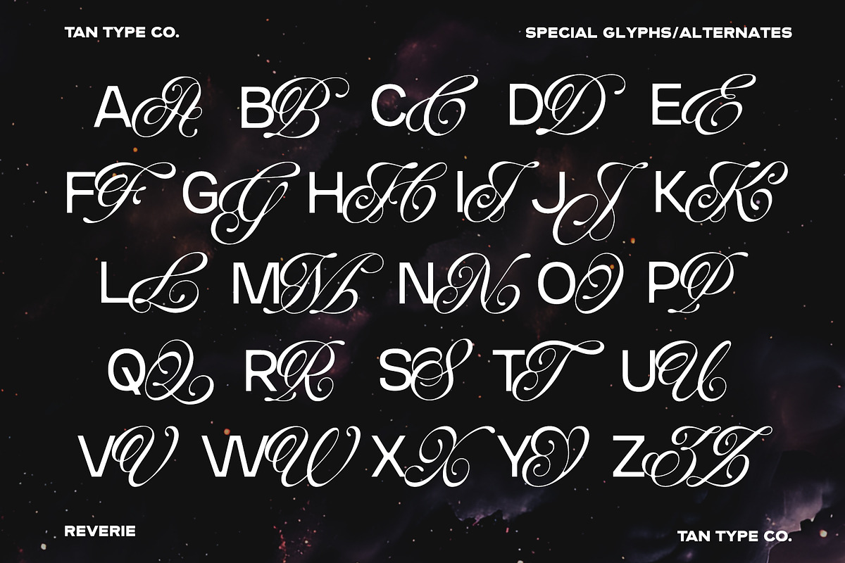 TAN-THE REVERIE, a Sans Serif Font by TanType (Photo 11 of 11)