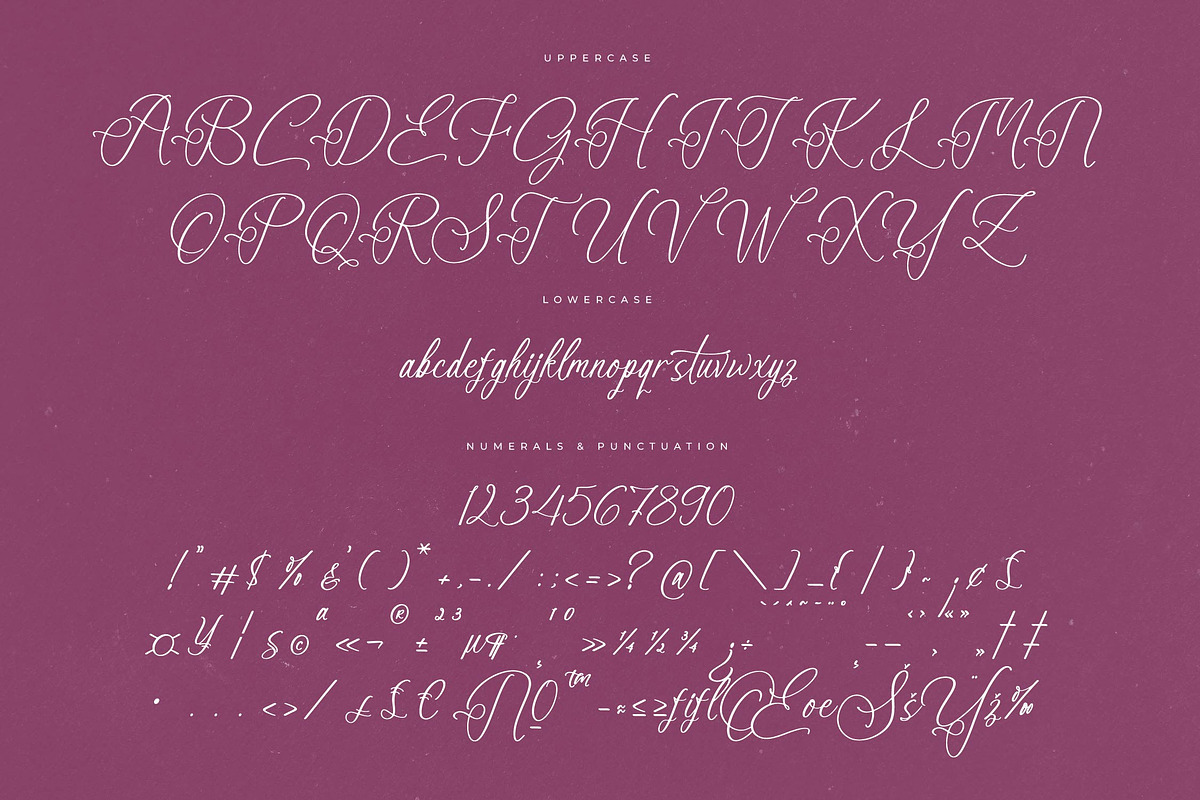 Anastasia Boutiques Beauty Script, a Script Font by Letterena Studios Script (Photo 13 of 15)