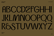 Dx Sillage Elegant Serif Font, a Serif Font by Dirtyline Studio (Thumbnail 3 of 17)
