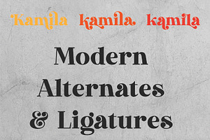 Kamila Modern Slab Serif Font