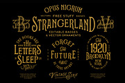 Strangerland + Extras, a Serif Font by Opus Nigrum (Thumbnail 11 of 13)